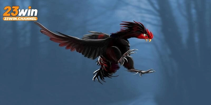 Cách nhận biết gà linh kê trong thực tế cùng 23Win